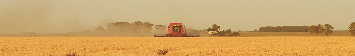 Gestión agrícola