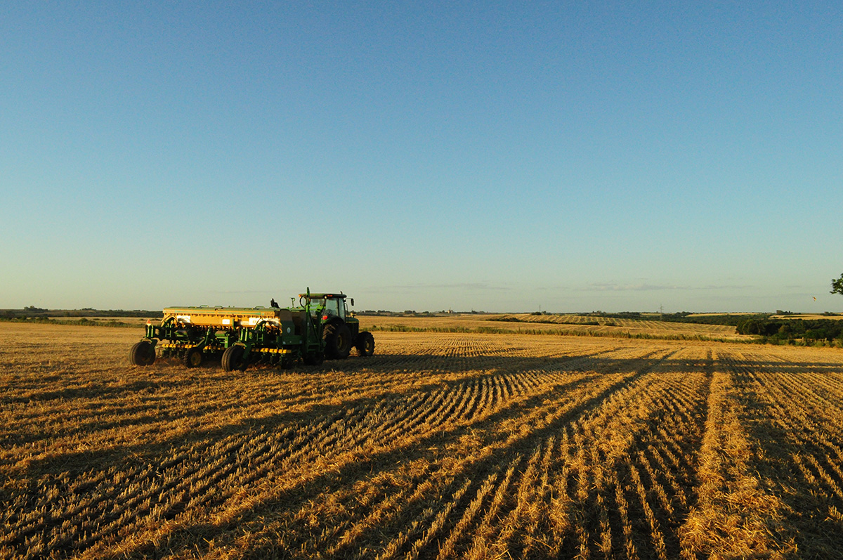 campo