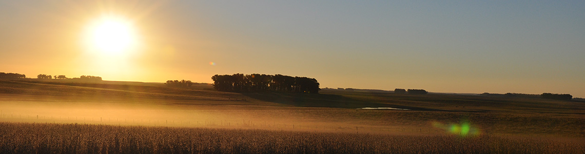 Campo Uruguay